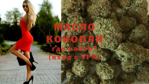 сатива Сосновка