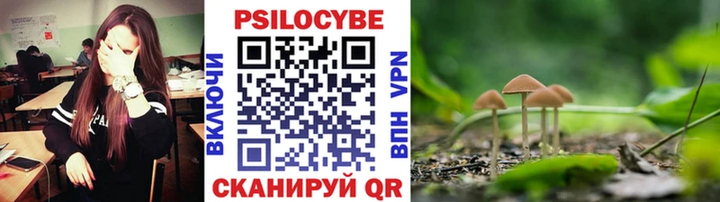 Галлюциногенные грибы Psilocybe Барабинск
